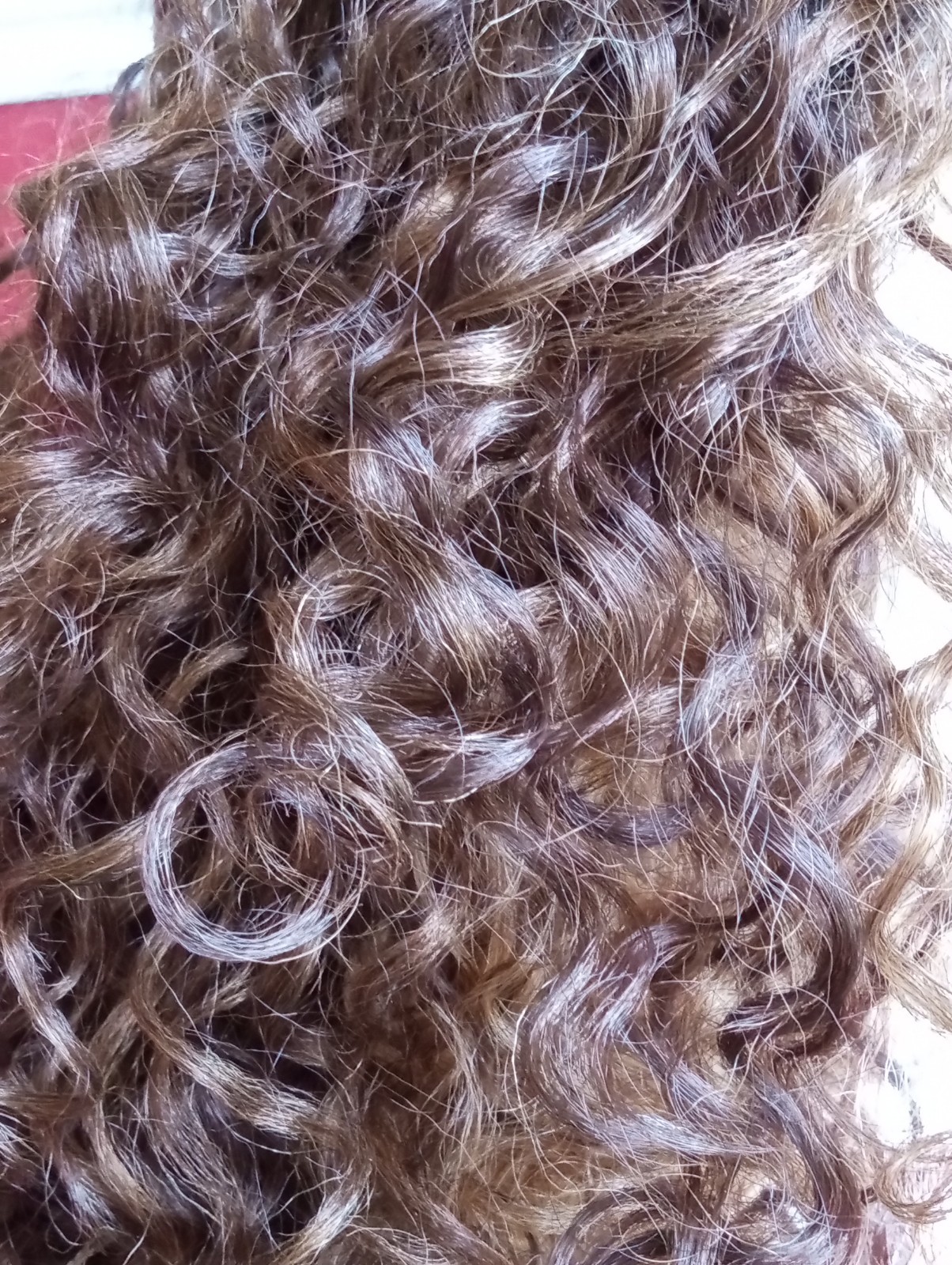 Sensationnel Dashly Full Wig Curly – Unit 27, BALAYAGE SUNKISSED