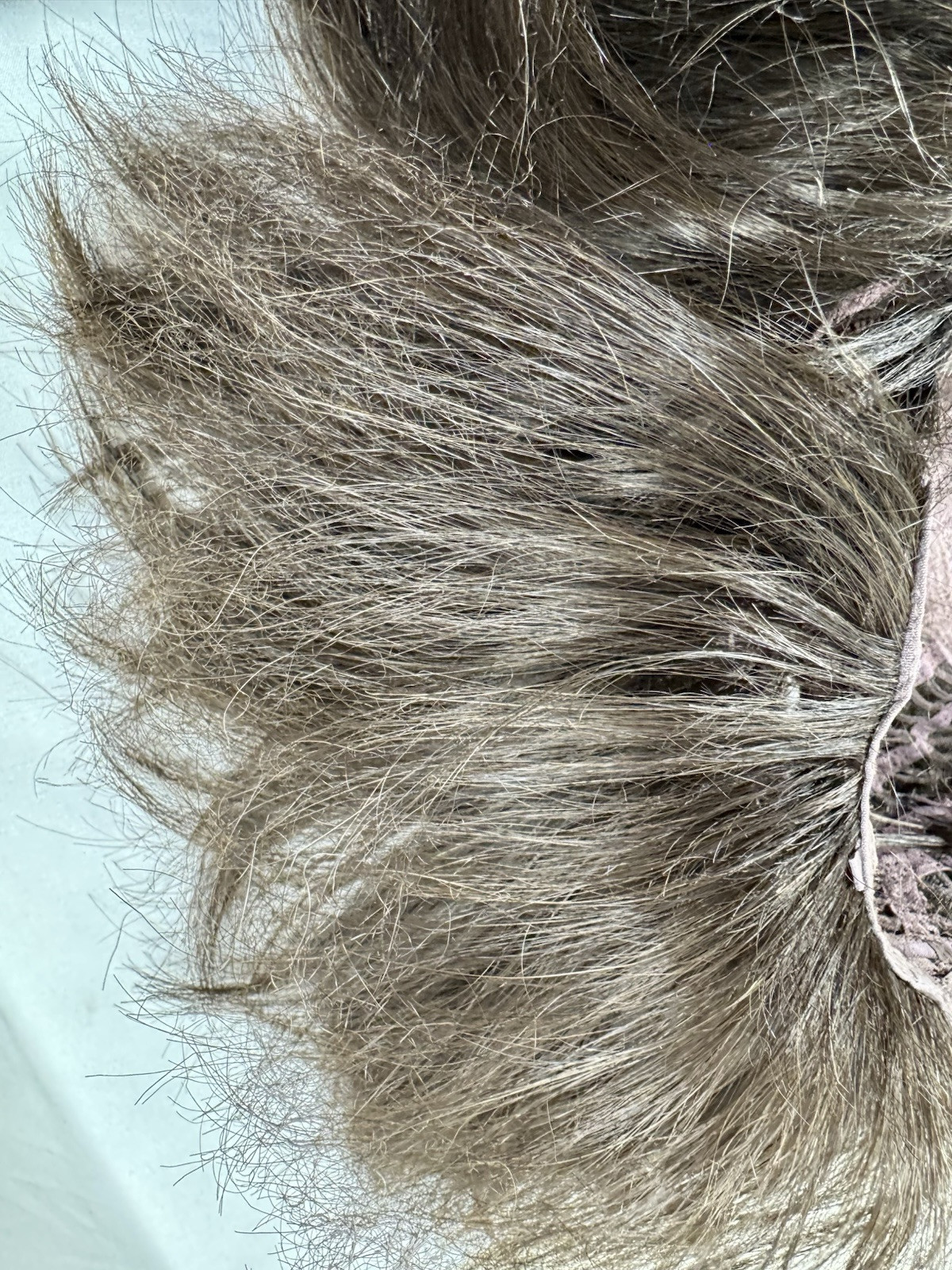 MONIKA Wig by ESTETICA, R4/6 | Dark Brown and Chestnut Brown Blend USED