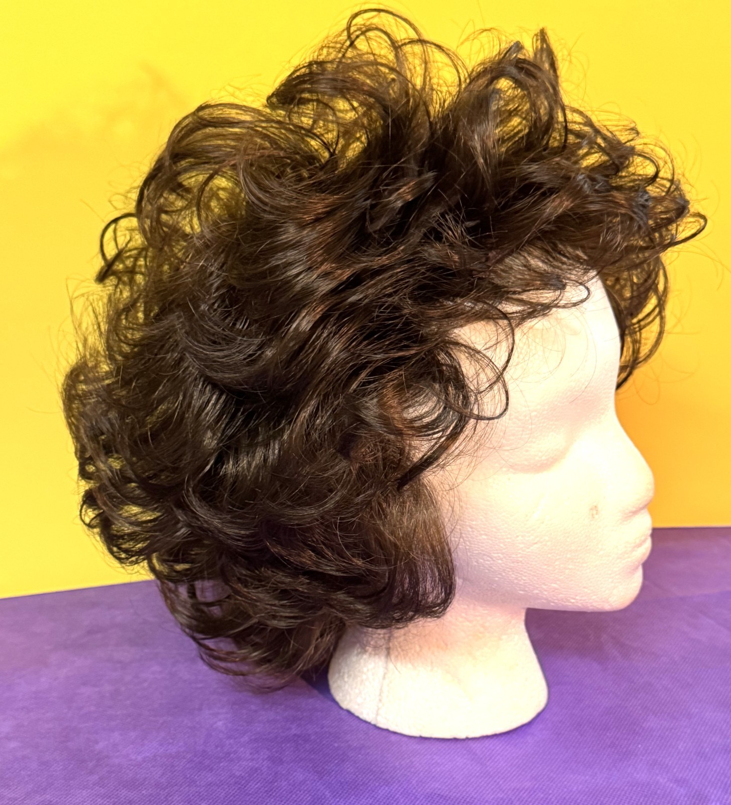 Paula Young A2412 Brunette Wig – Average 8 (Preowned)