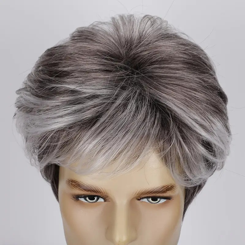 Fashion Light Gray Short Synthetic Hair Wig for Men Daily Wear for Middle Aged