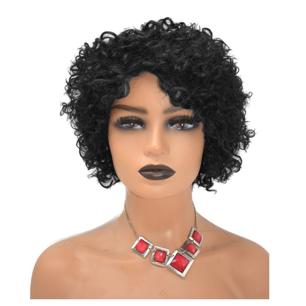 Kinky Curly Afro Wig Short Human Hair Wigs for Black Women Brazilian Natural US