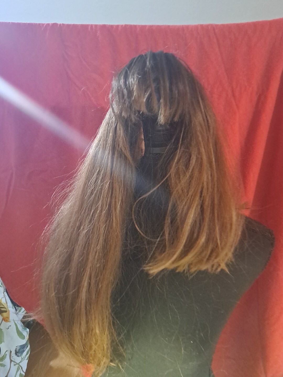 Blueberry Wig Asymmetrical Dark Brown At Root Then Lightens With Length To Brown