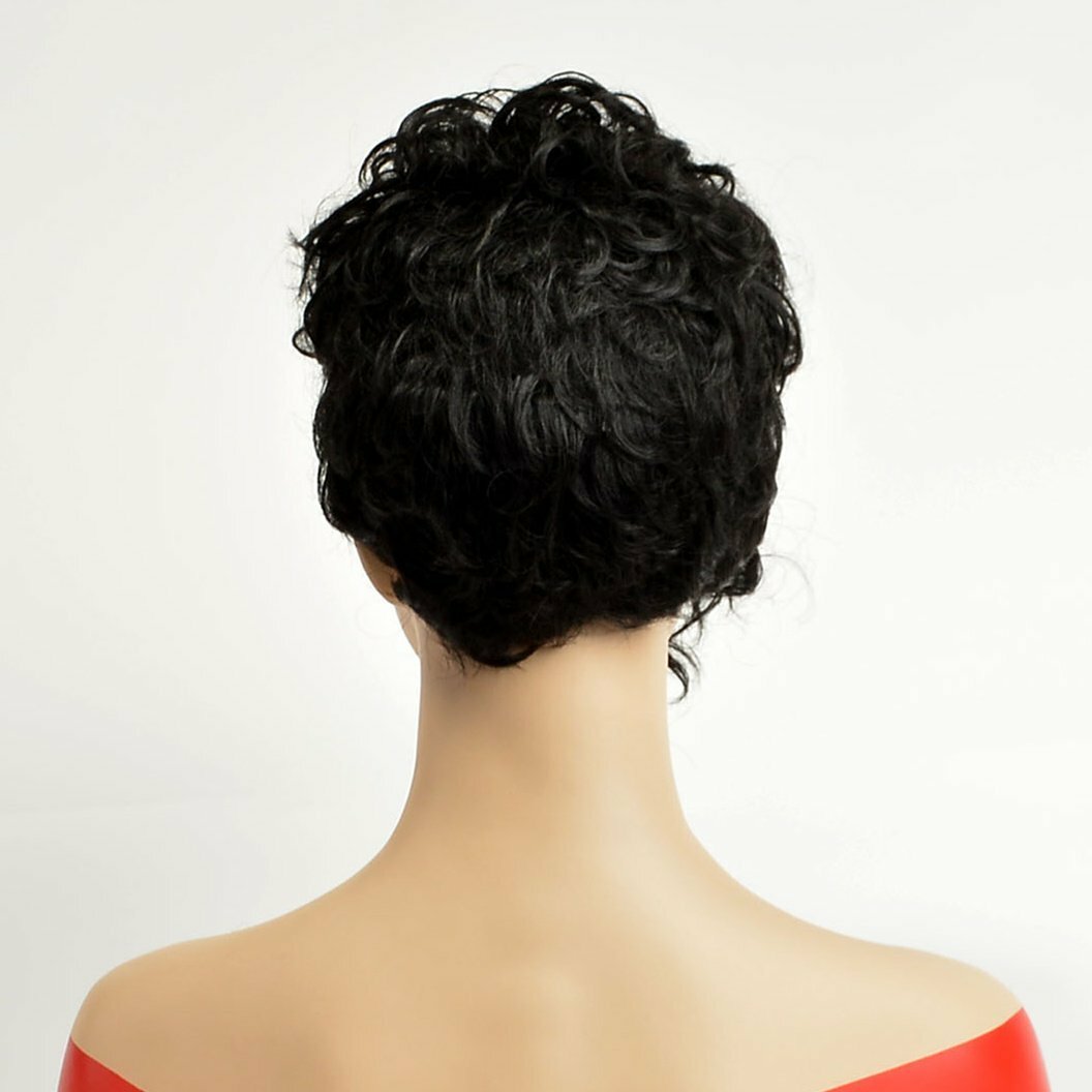 Afro Loose Wave StyleShort HalloweenFashion Curly Wigs for Women Black Natural