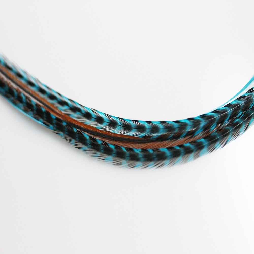 Five 4″-6″ Turquoise, Genuine Grizzly & Browns Extension