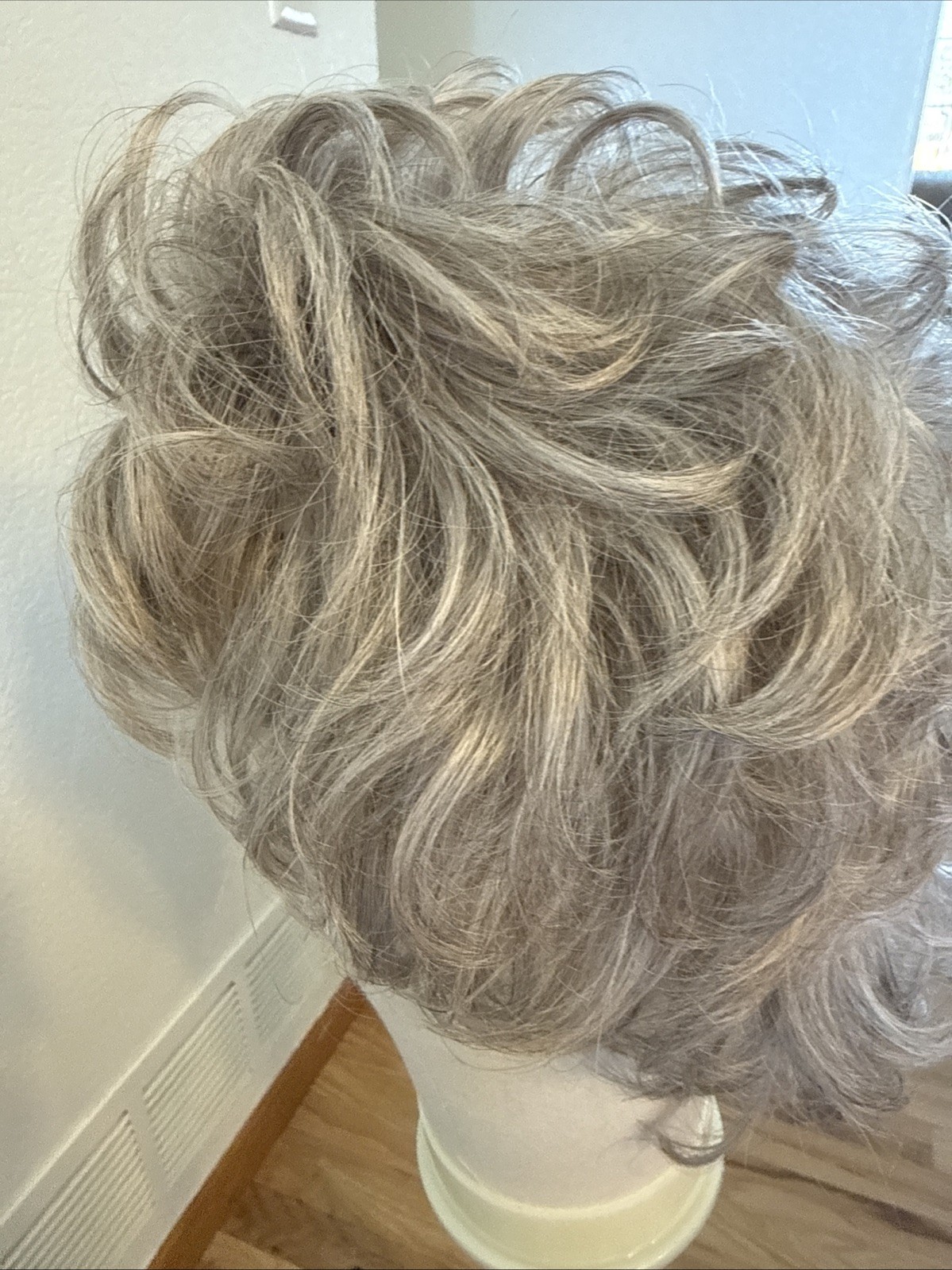 480Curly Long Net Cap Gray Tipped Big Hair. Very Nice Paula Young Jenna 14/18