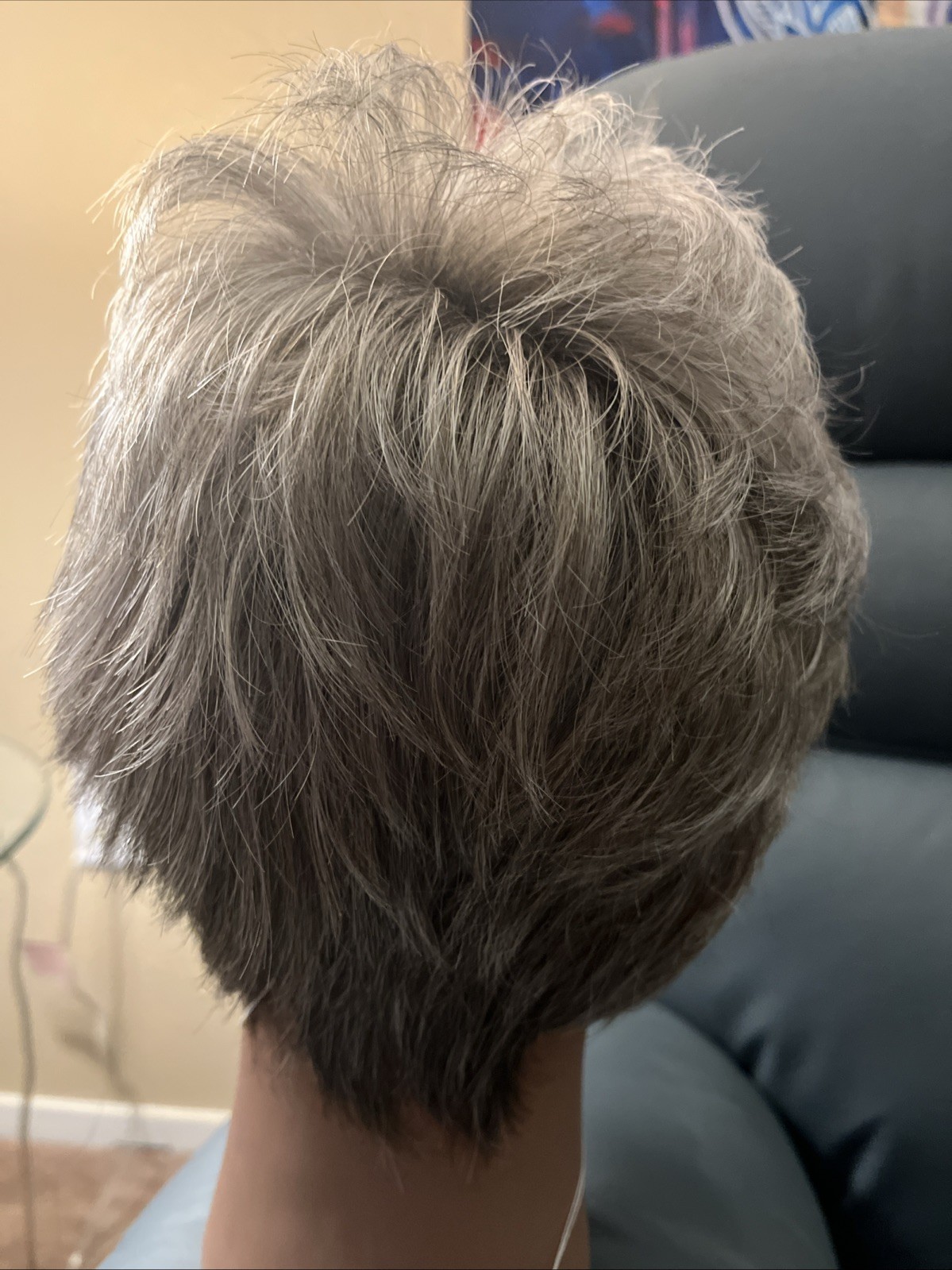 raquel welch wig WHISPER in GRADIENT SMOKE