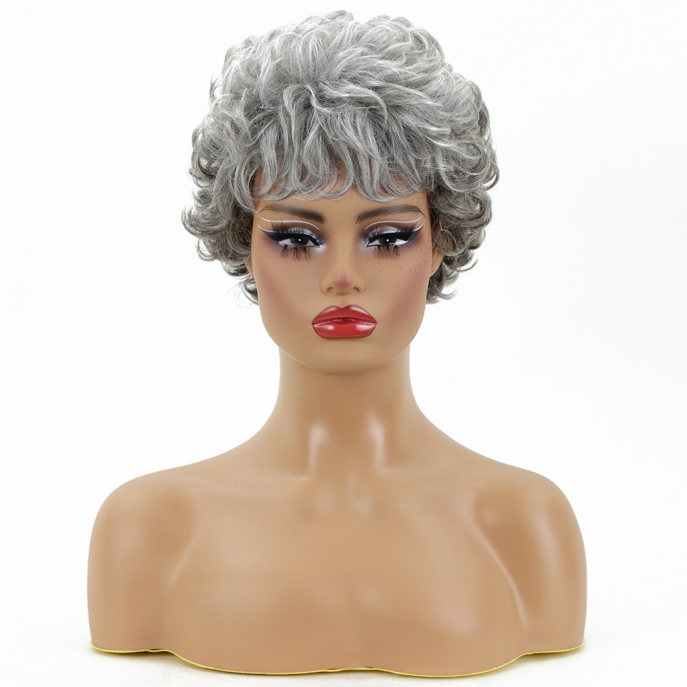 Women’s Short Curly Silver Gray Wig Heat Resistant Synthetic Full Daily Wear