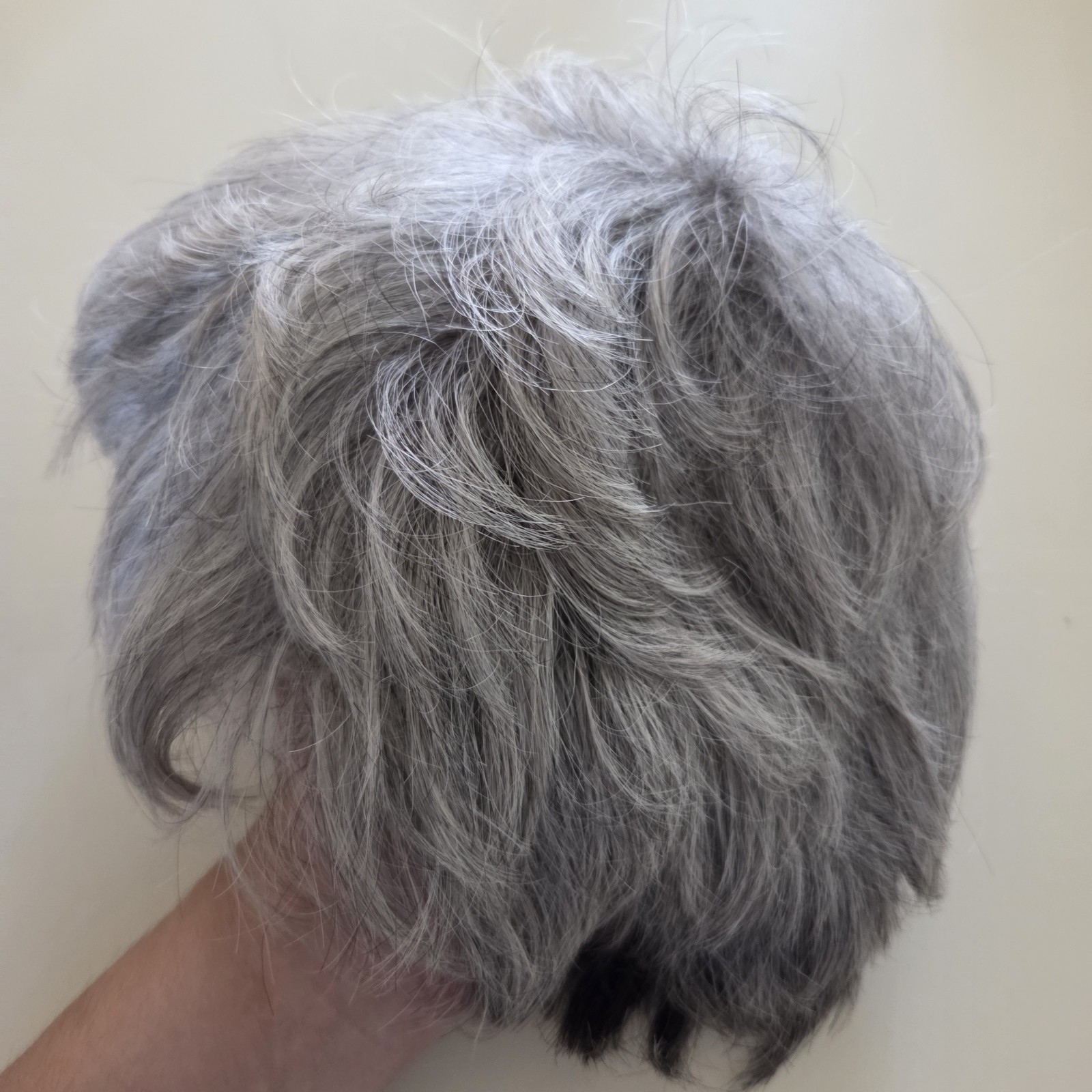 Lot of 2 Gray Shaded Wigs Short Aspen & Estetica Design R56T