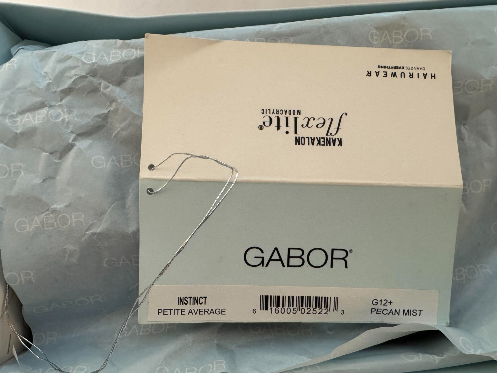 HAIRUWEAR Eva Gabor Zest Wig, G12+ Pecan Mist (PETITE AVERAGE) – NEW