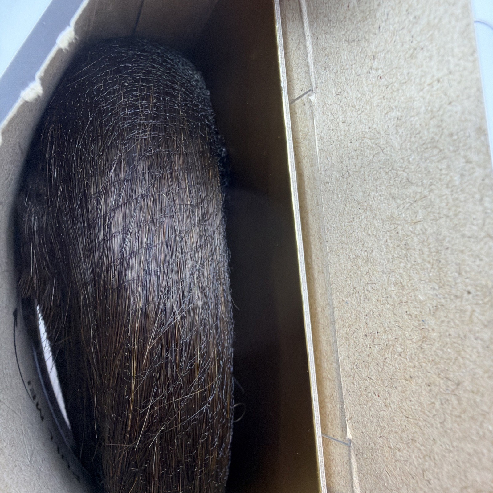 Bellami Professional Straight Flex Weft 16” Dark Brown #2 New Open Box 120g