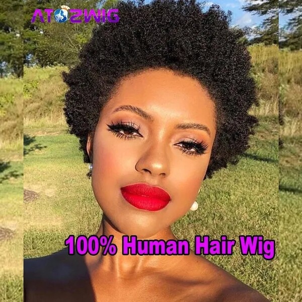 100% Real Brazilian Remy Human Hair Short Afro Kinky Curly for Black Women Wigs