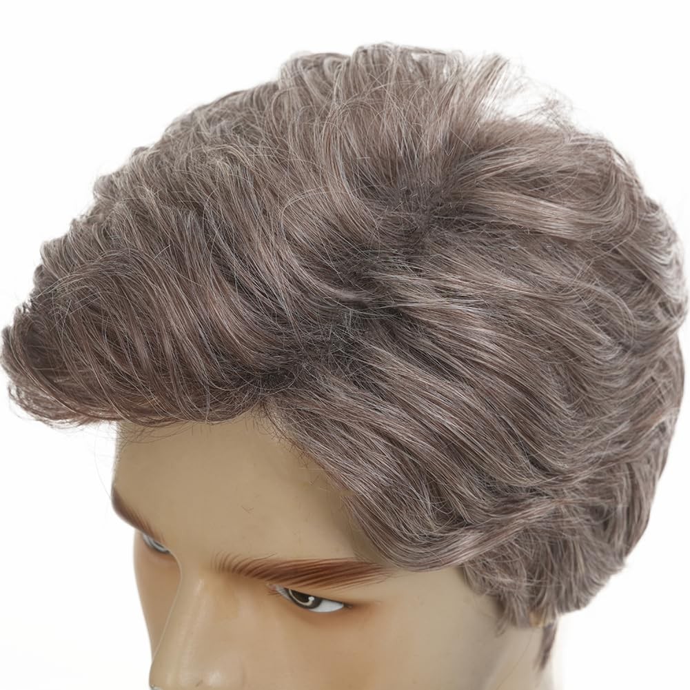 Salaibs Mens Grey Short Wig Natural Synthetic Heat Resistant 22 Inch,