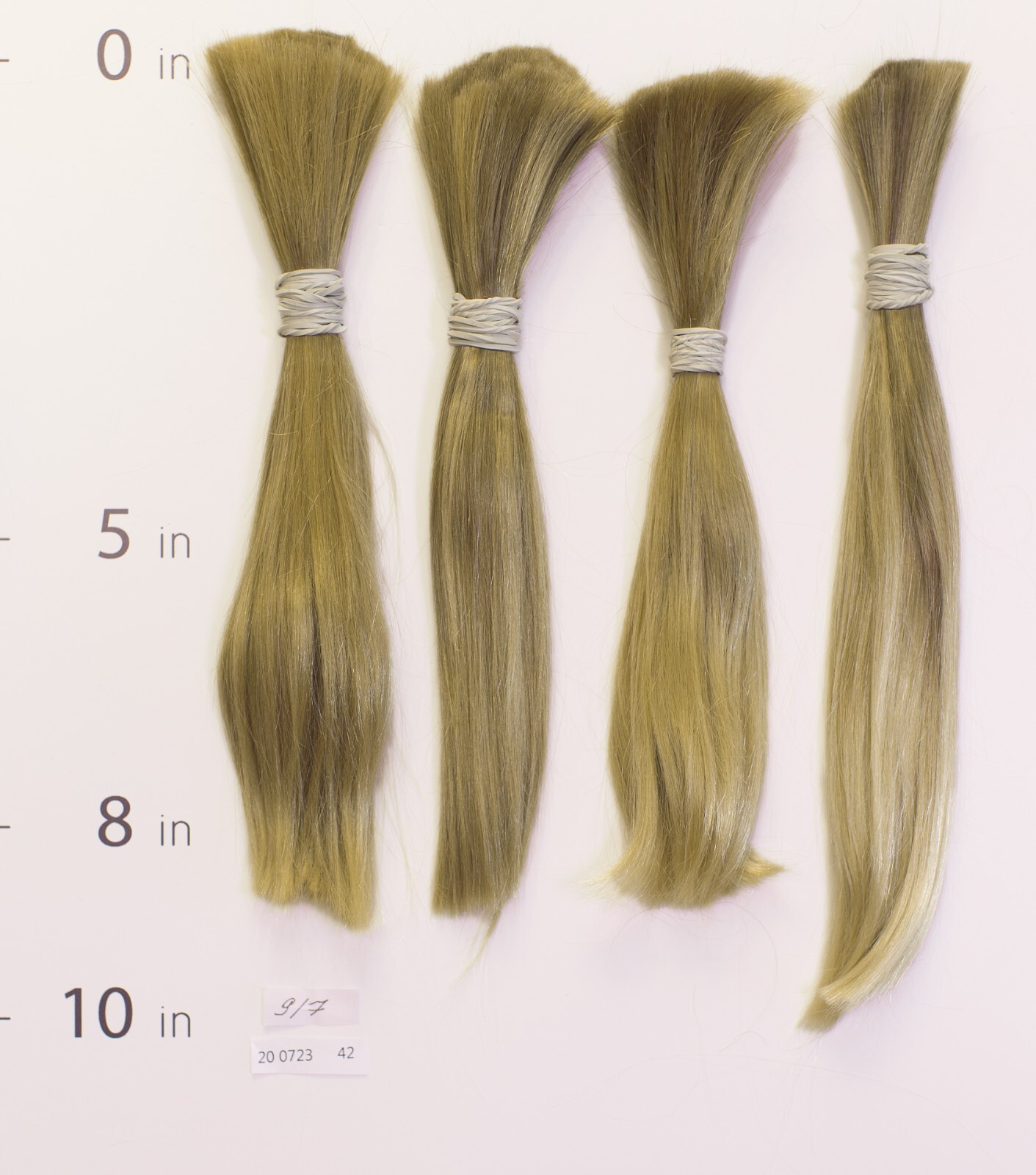 European hair, cut hair, raw hair, Very Light Blonde/Brown Pure 8”-10”,virgin