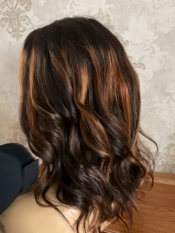 Highlight Black Brown 13×4 Lace Front Human Hair Wig for Women Daily