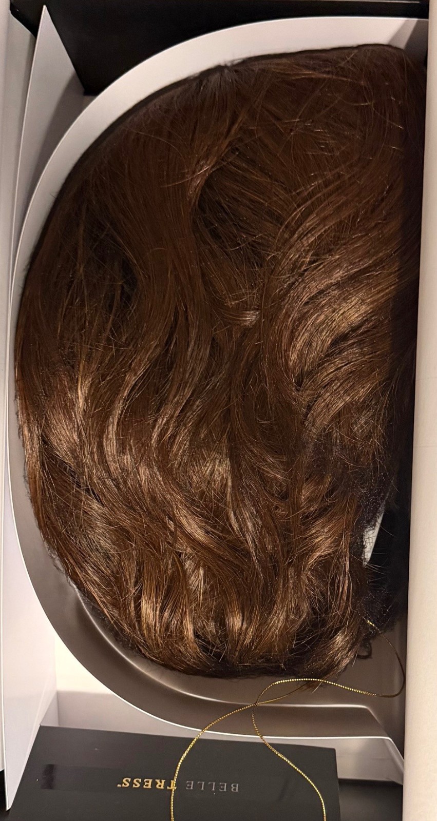 BelleTress City Roast | Synthetic Lace Front Wig (Mono Part) Cola With Cherry🙏