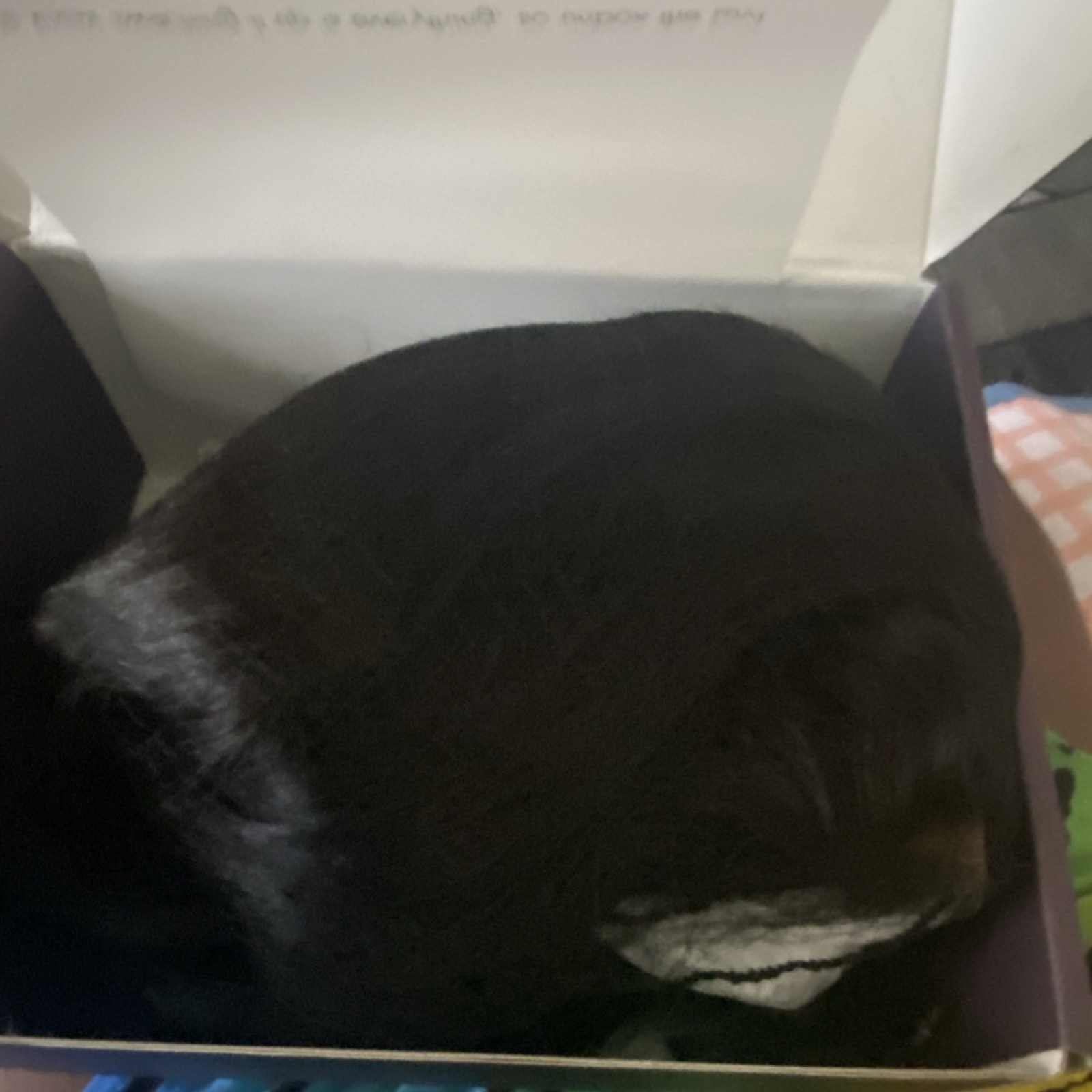 Luvme Glueless 5×5 Closure HD Lace Silky Straight Human Hair Bob Wig Black
