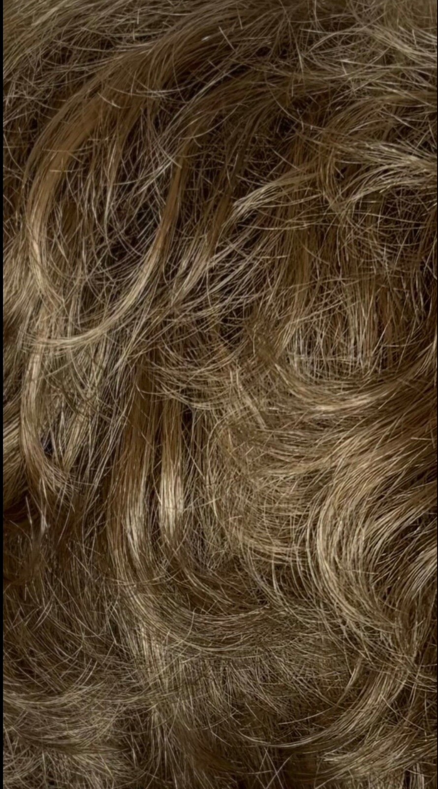Celebration Wig Synthetic Brownish Blonde Wavy Layers SZ Average Clean GUC 10-18