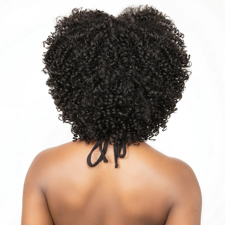 Janet Collection Natural Curly Premium Synthetic Fiber Wig – AFRO GLYN