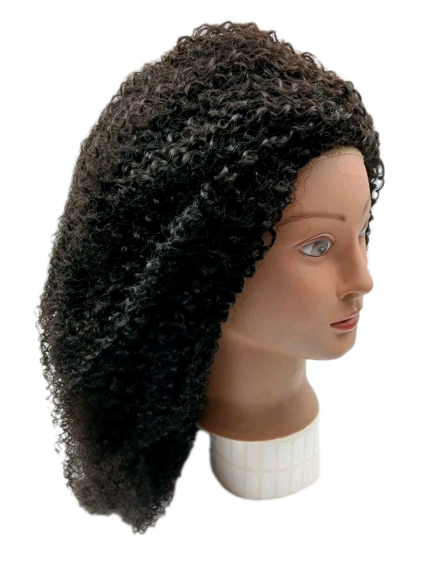 Queen Of Hair Curly Afro Style Lace Front Wig 1B30 Black Womens 18″ Hair Wigs