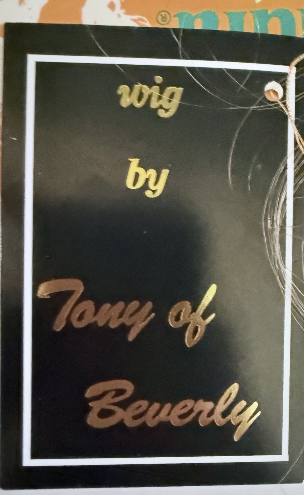 The Flaunt By Tony Of Beverly Wigs Color Blush