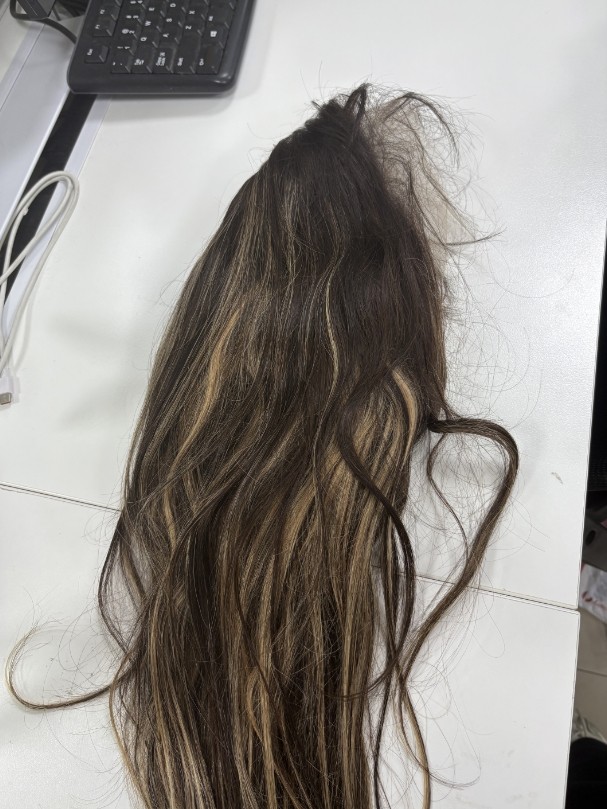 20Inch Highlight Brown Blonde Lace Front Wig 100% Human Hair Wig