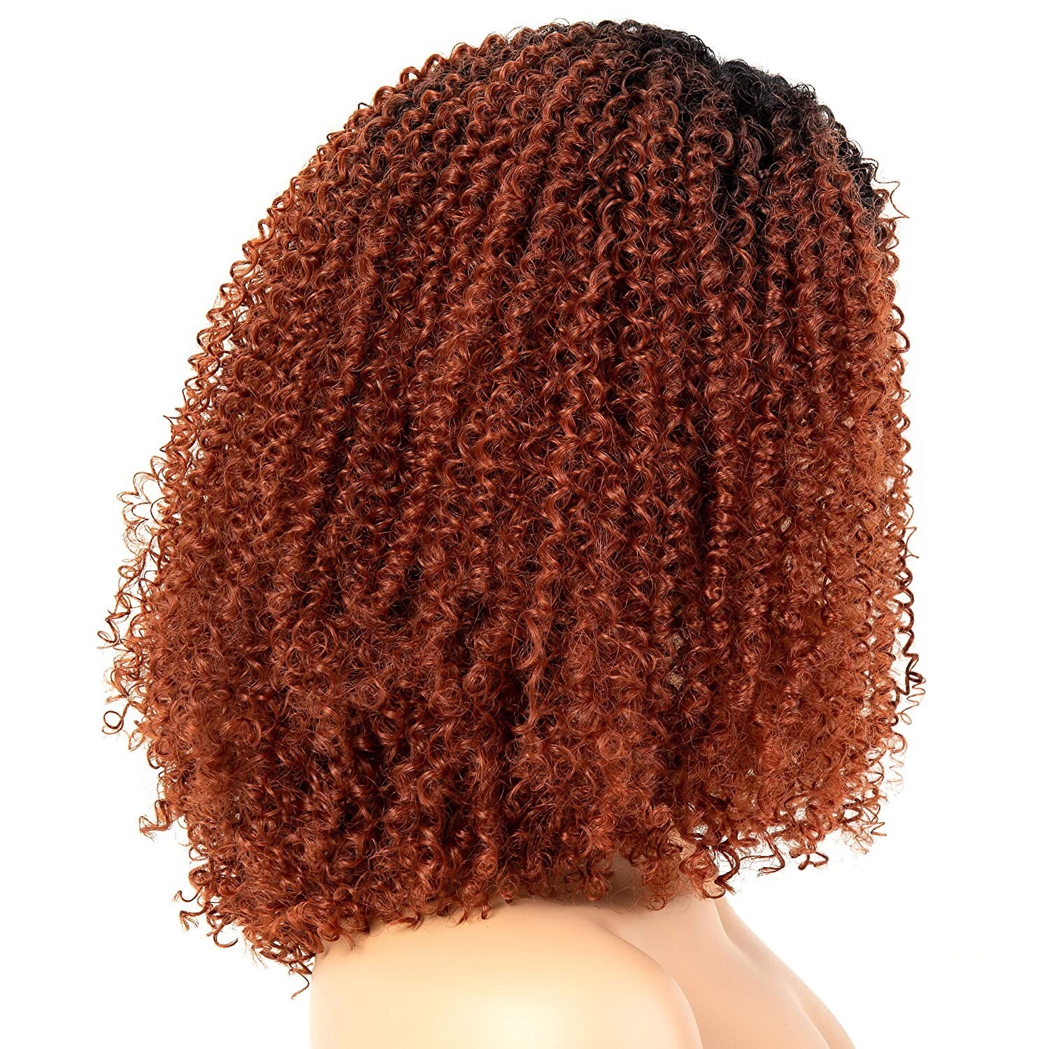 OneDor Afro Kinky Curly Lace Front Wig with Dark Root for African American Women