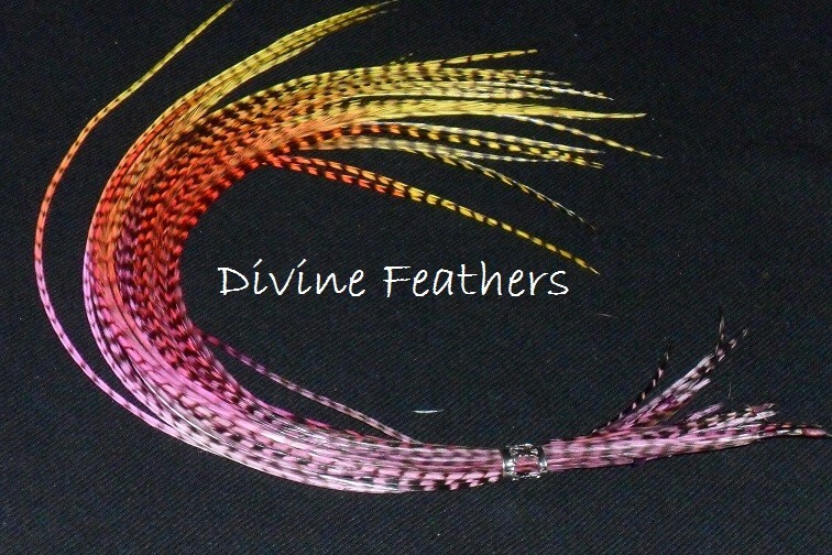 Grizzly Sunset 8″-12″ Feather Hair Extensions feathers SALON KIT microbeads