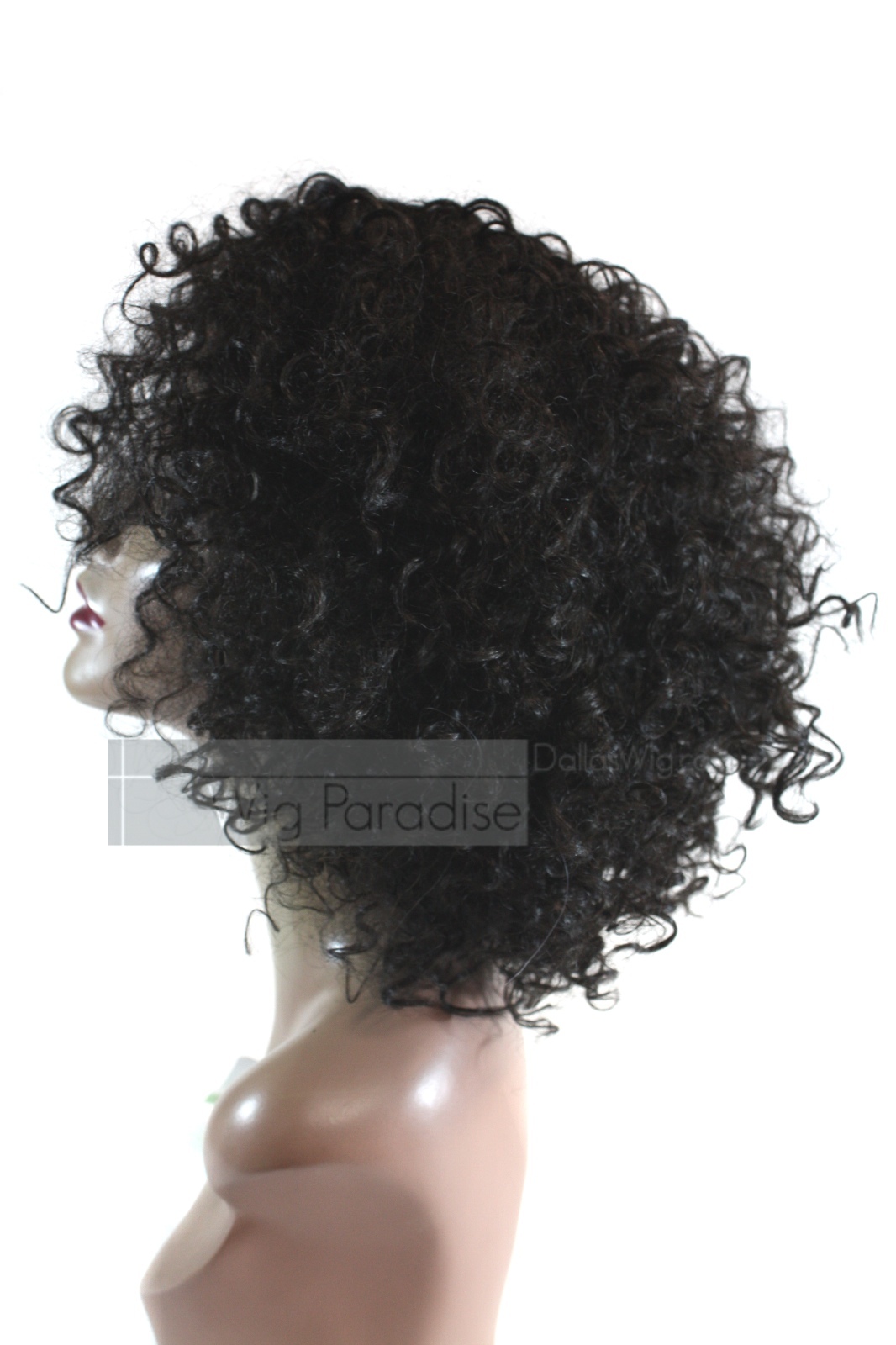 Femi Collection Full Curly Heat Resistant Deep Part Tina Lace Front Wig