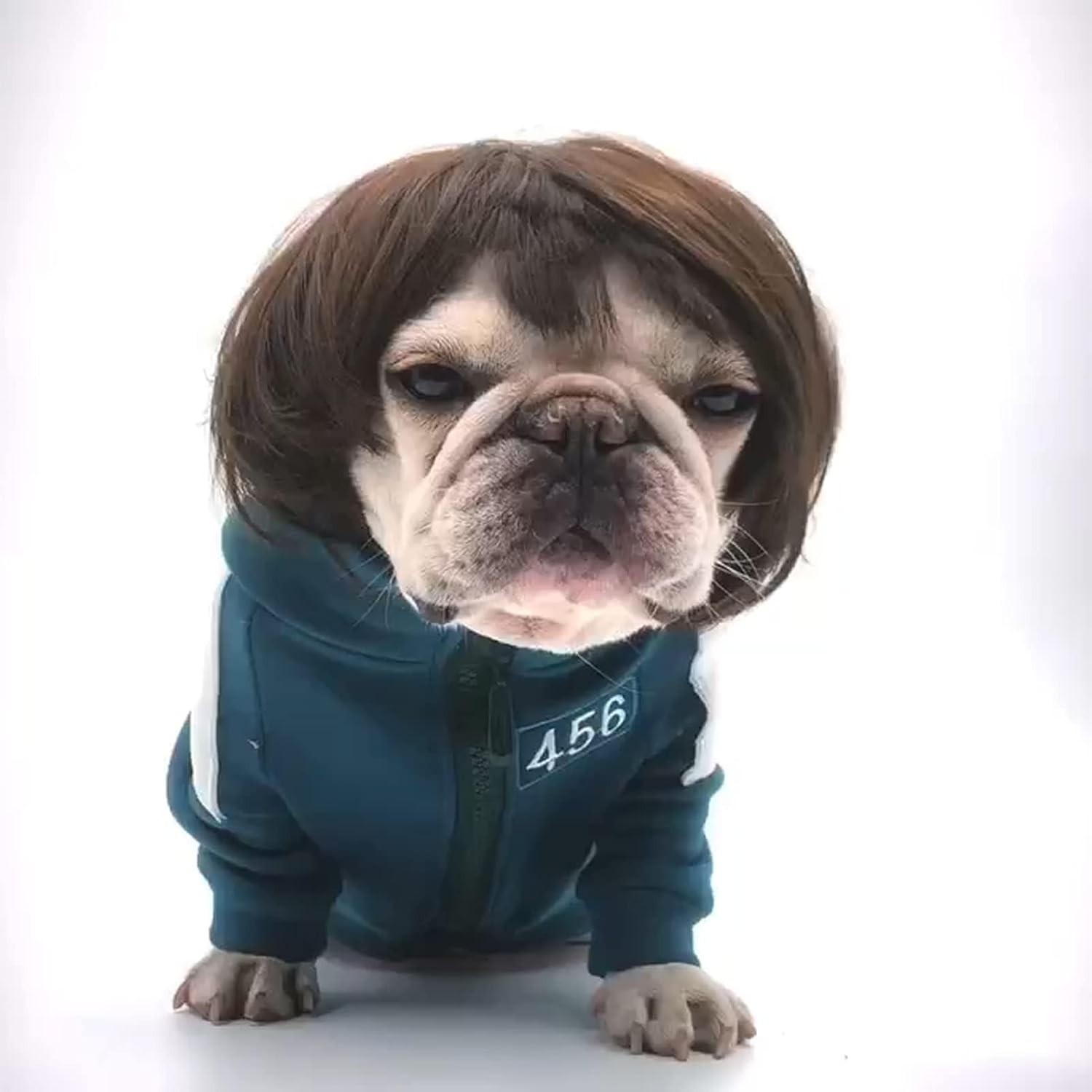 Versatile Black Brown Dog Costume Wig – Celebrate Halloween & Christmas