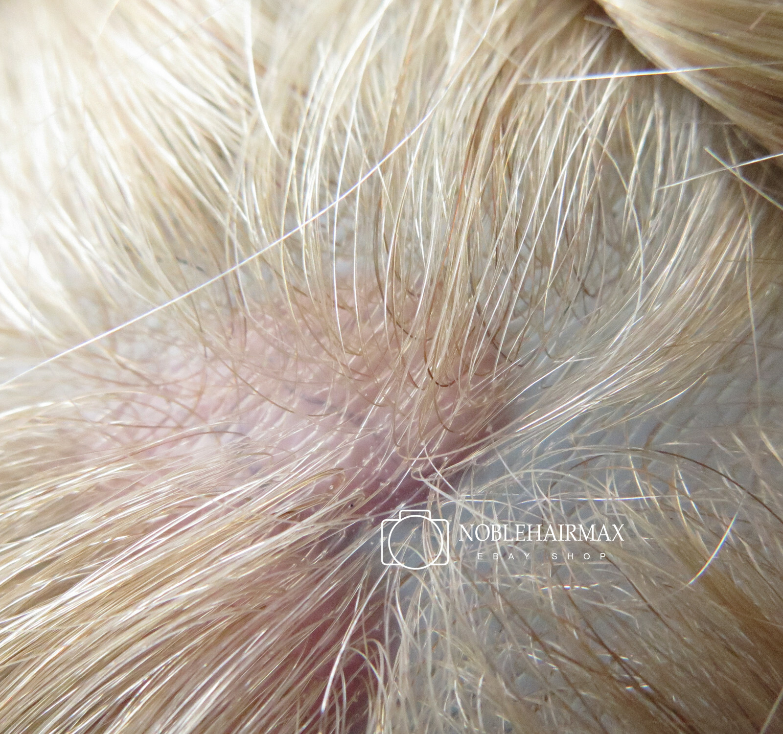 Natural Human Hair Replacement System Ultra Thin Skin Toupee Blonde Hair Wig#22R