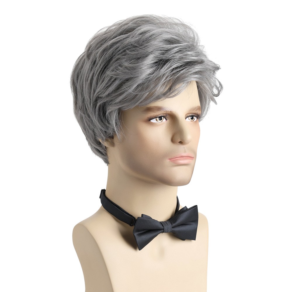 10″ Men’s Short Silver Gray Wig Full Wig Party Cosplay Heat Resistant Synthetic