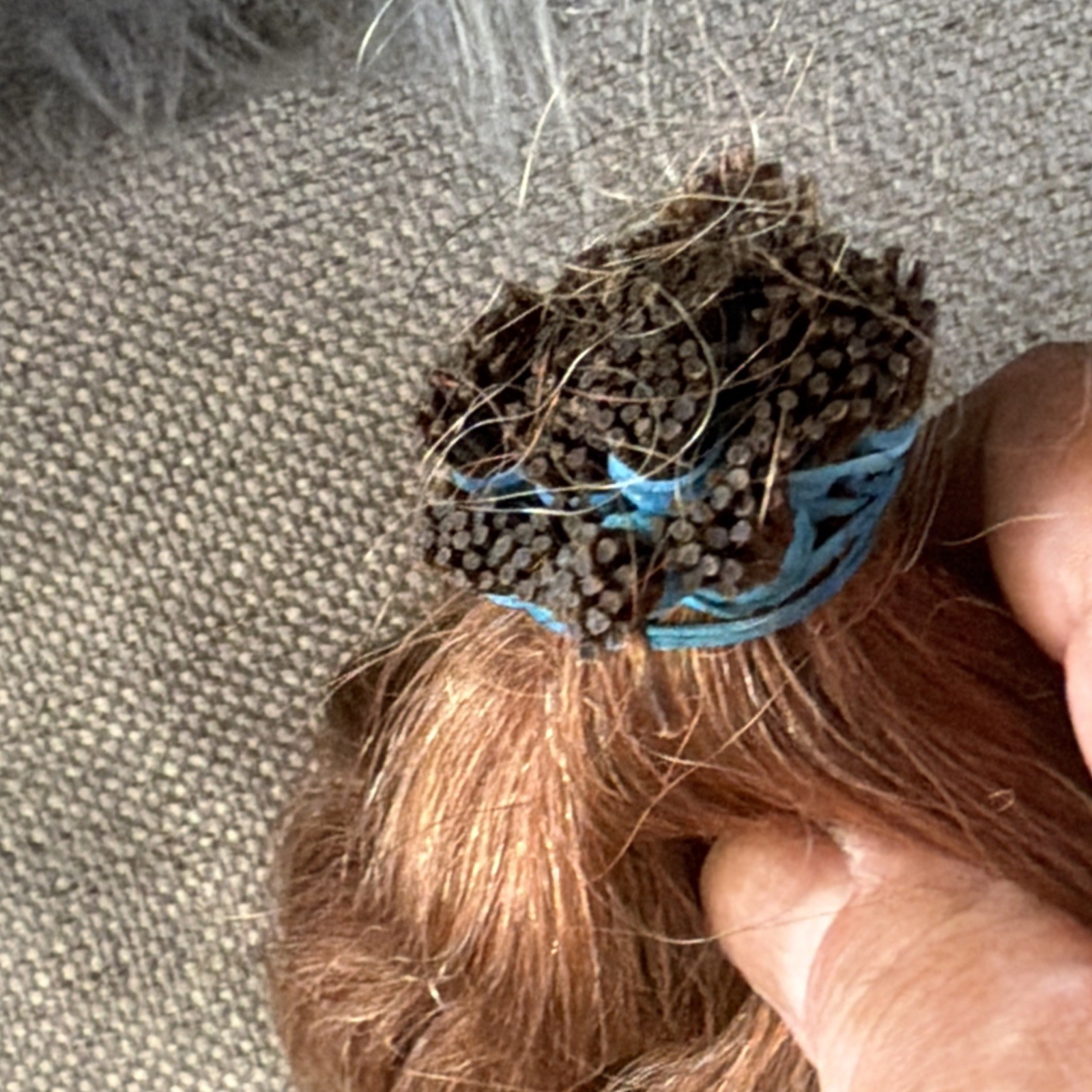 Human Hair Medium Light WarmthBrown 13” 180 Gm