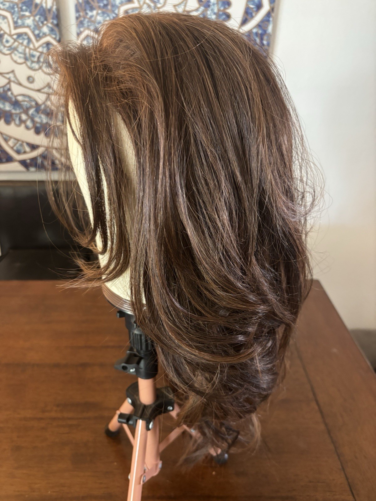 Luxury Lace, Front Synthetic Free Part Gorgeous Brunette Wig New