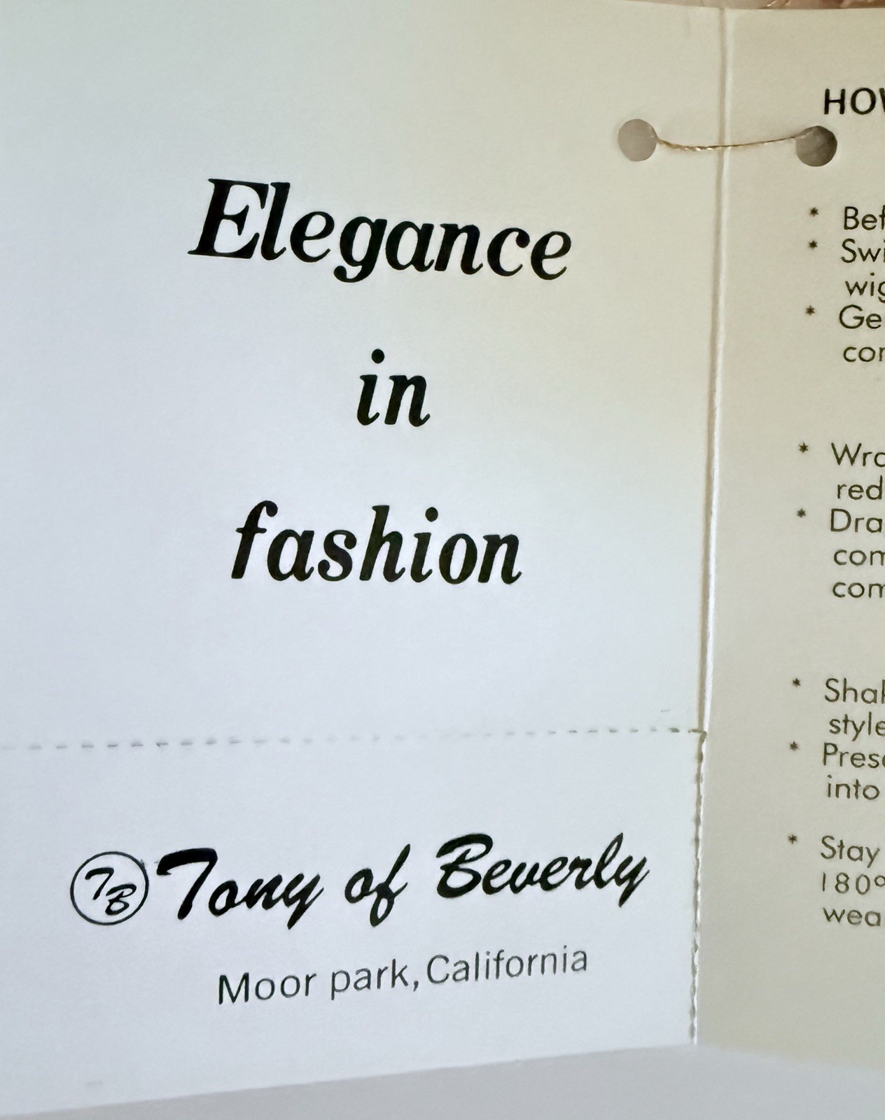 The Flaunt By Tony Of Beverly Wigs Color Blush