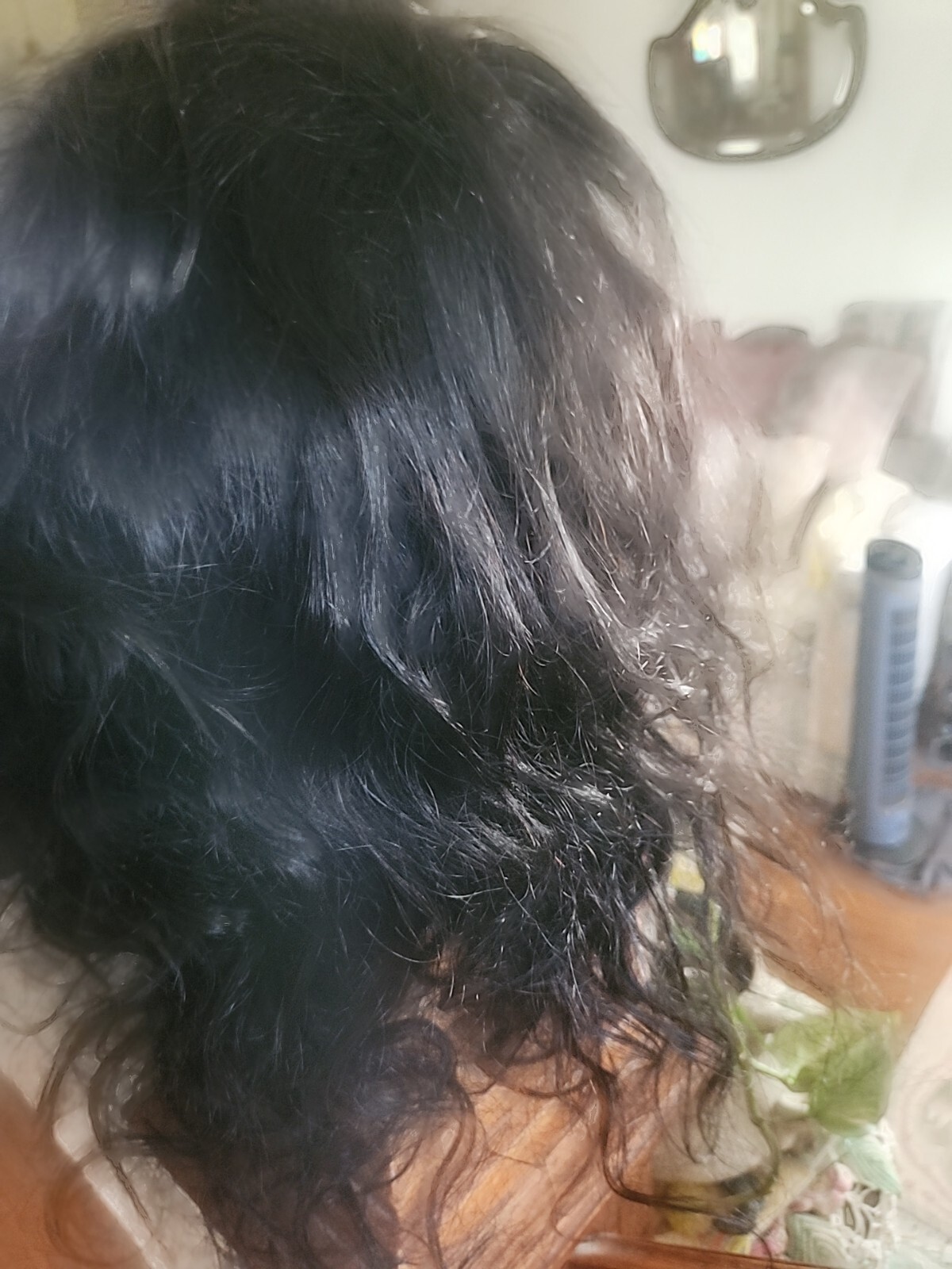 Beautiful Life Human Hair Wig NWOT