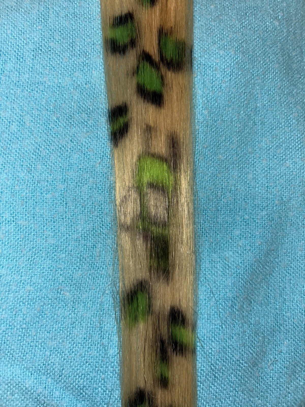 Gir Invader Zim Scene Human Hair Extension New w/ BROKEN CLIP (see pictures)