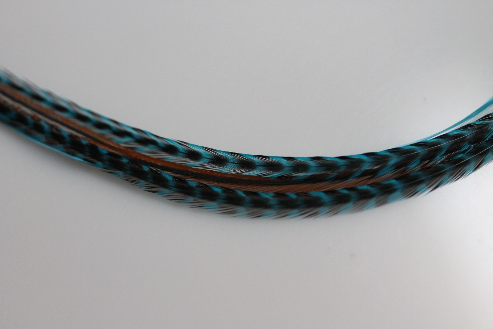 Five 4″-6″ Turquoise, Genuine Grizzly & Browns Extension