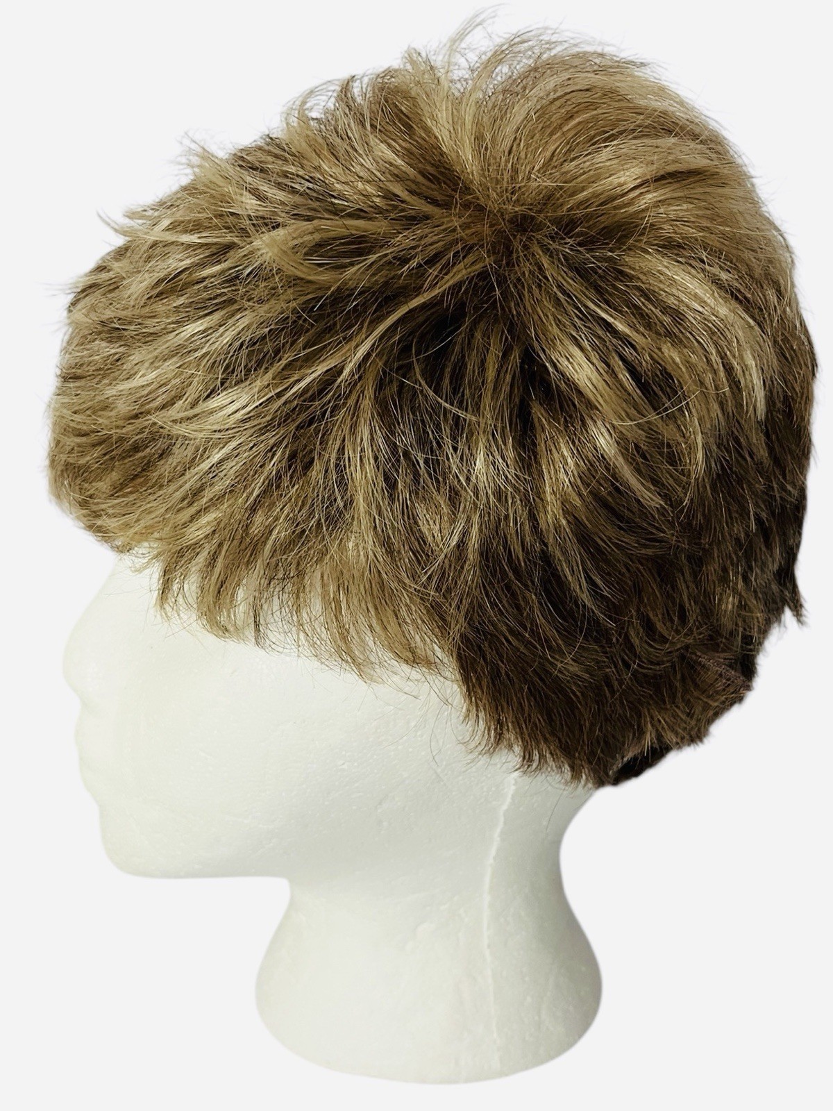 Eva Gabor Zest Average Wig Short Layers G13+ Cappuccino Mist Color Pixie -NEW