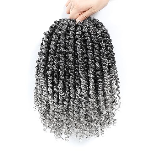 Passion Twist Hair 10 Inch 8 Packs, Pre Twisted 10 Inch (Pack of 8) TGray#