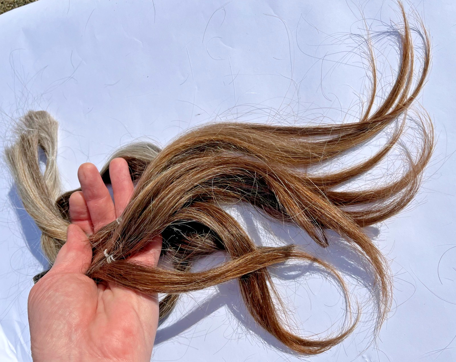 19-21 inches 3.1 oz. Virgin European Auburn Natural Gray Mix Human Hair Healthy!