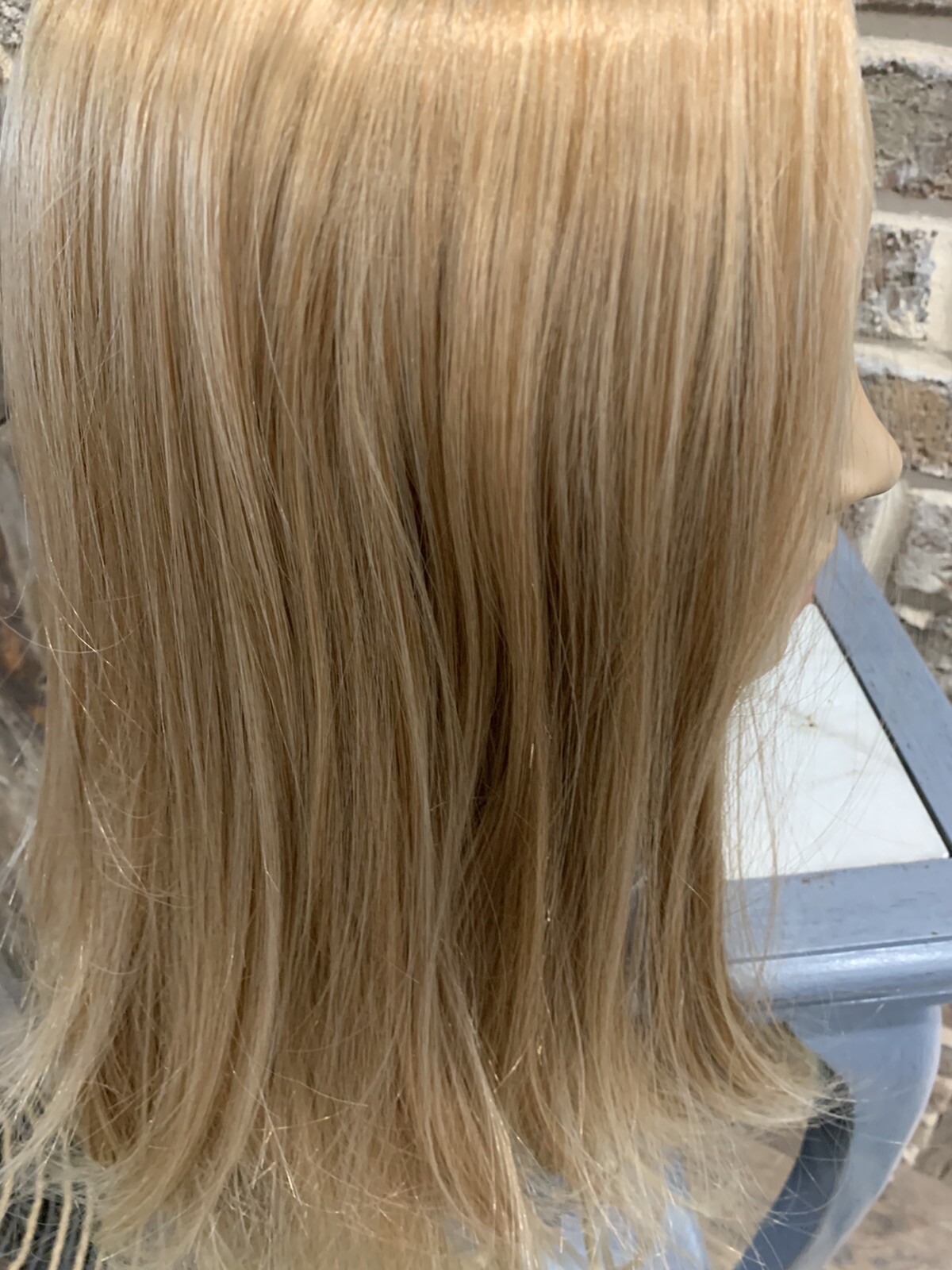 NWOT Silk Blondish Brown With Blonde Tips Wig #116