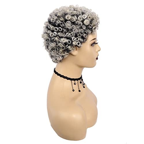 Short Ombre Grey Afro Curly Wigs for Black Women Mixed Blonde Kinky Curly Wig…