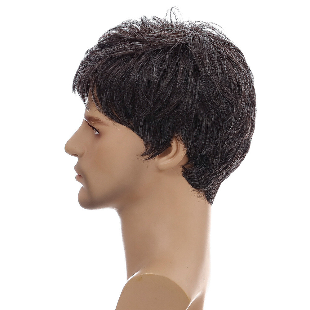 Men Short Black Brown Hair Synthetic Daily Natural Cosplay Wigs Party Costume US