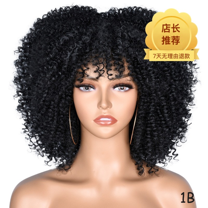 Multi-color Afro Kinky Curly Short Wig Synthetic Full Head Wig For Women