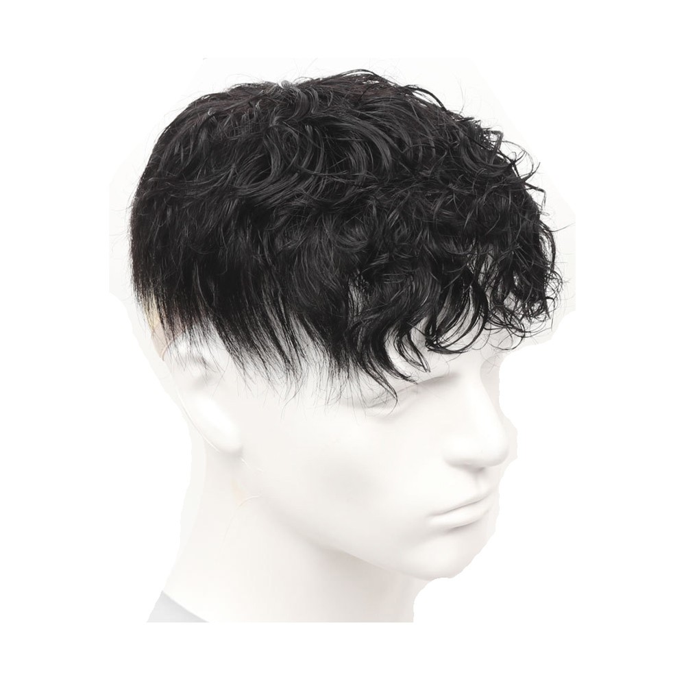 Natural Curly Hair Topper Human Hair Clip in Wiglet Hair Pieces Toupee For Men