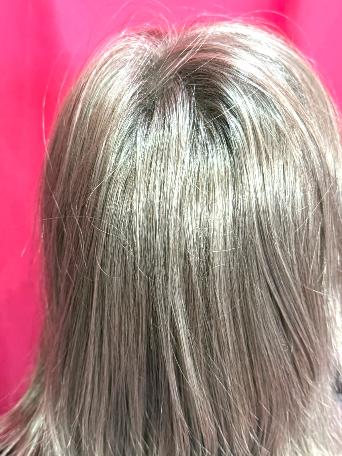 Godiva’s Secret Wigs “Taylor Wig” Silver Stone LARGE Cap