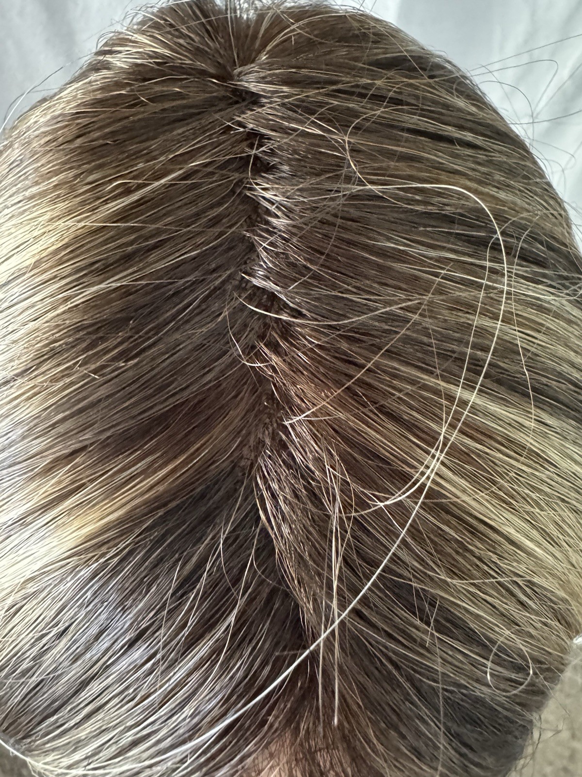 Rene of Paris Harper Wig In Chocolate Frost Rooted Color BNWT Long Silky Tresses