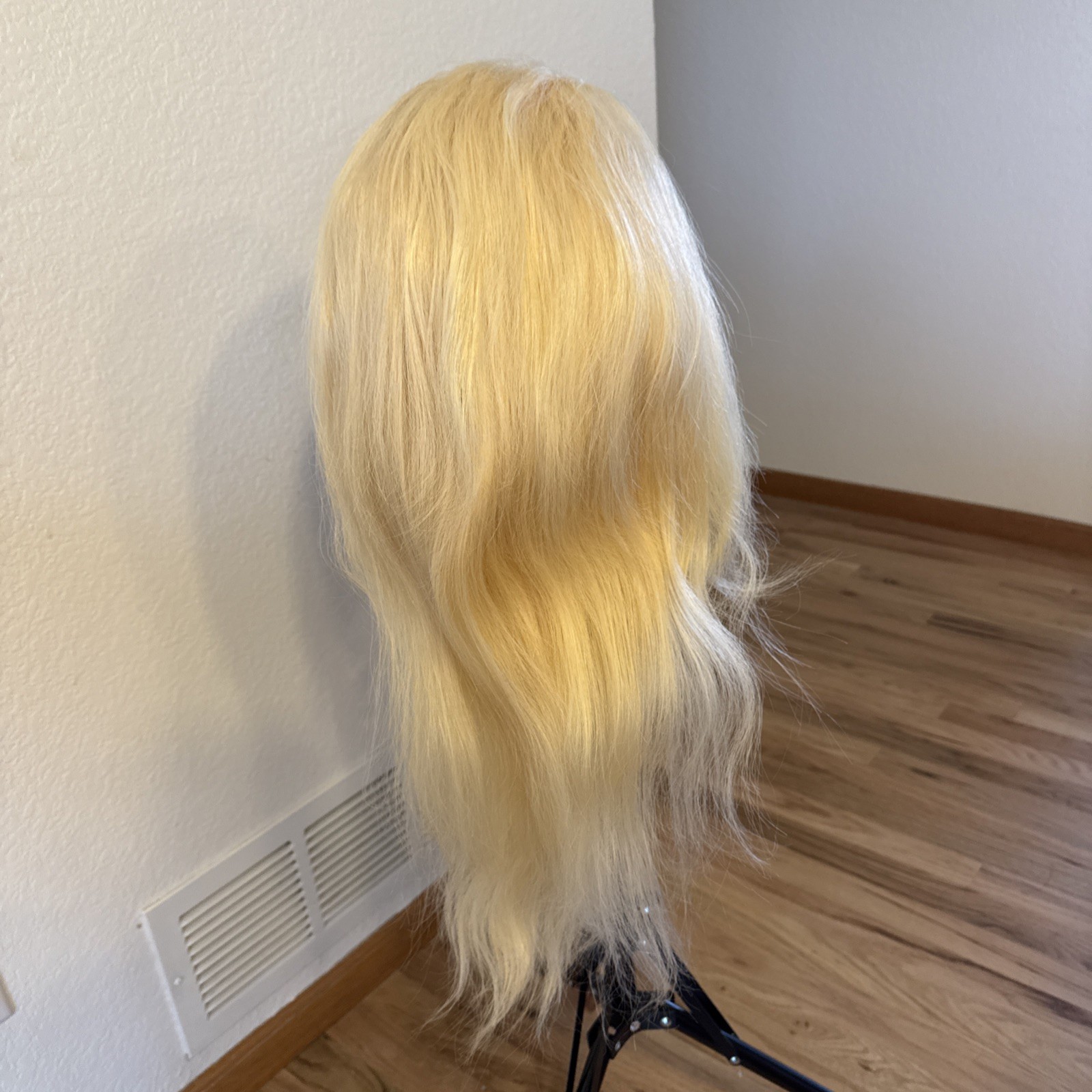 Human Hair Wig | 27” Light| Golden Blonde Highlight’s Lace Cap No Tags 144