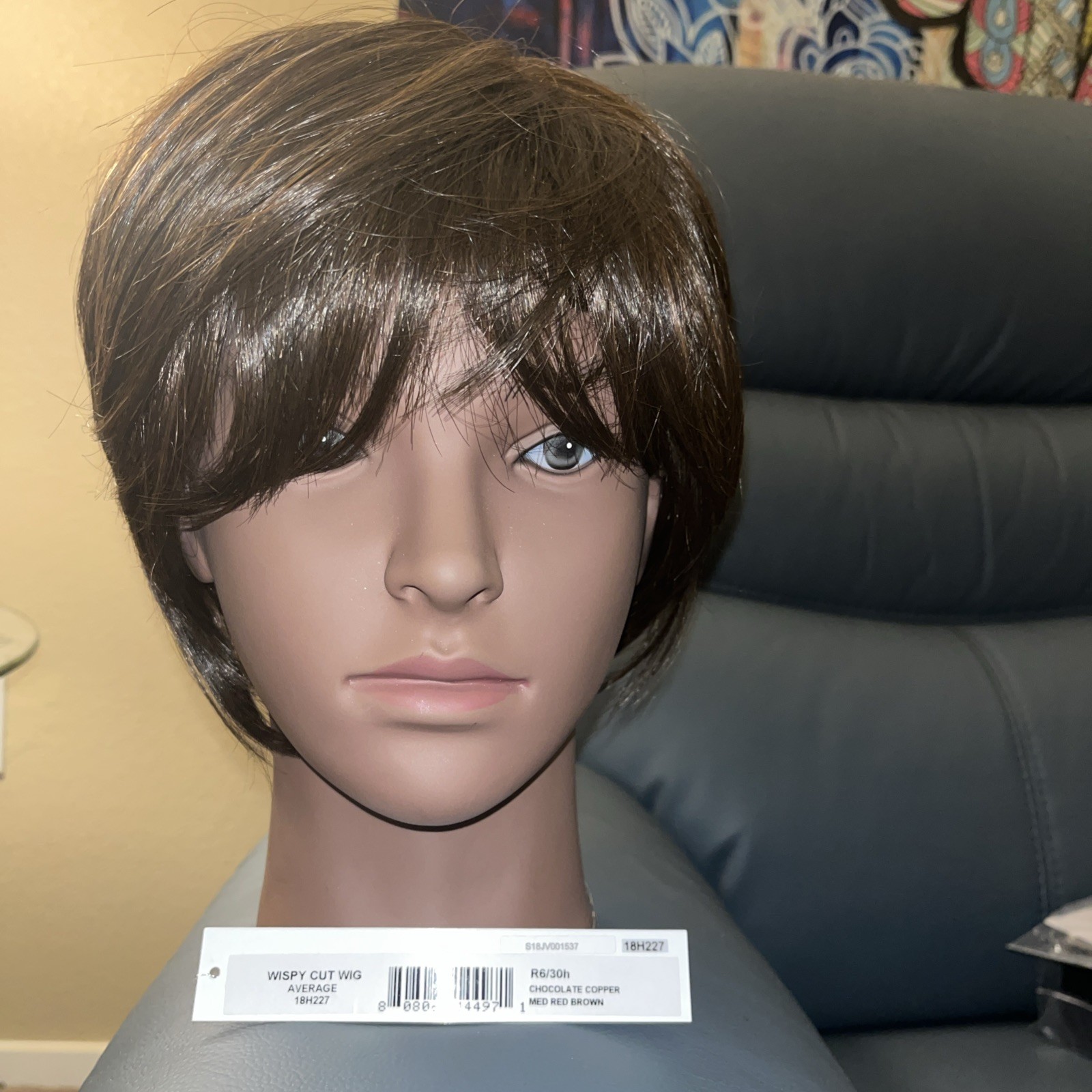 WISPY CUT WIG By HAIRDO In CHOCOLATE COPPER New