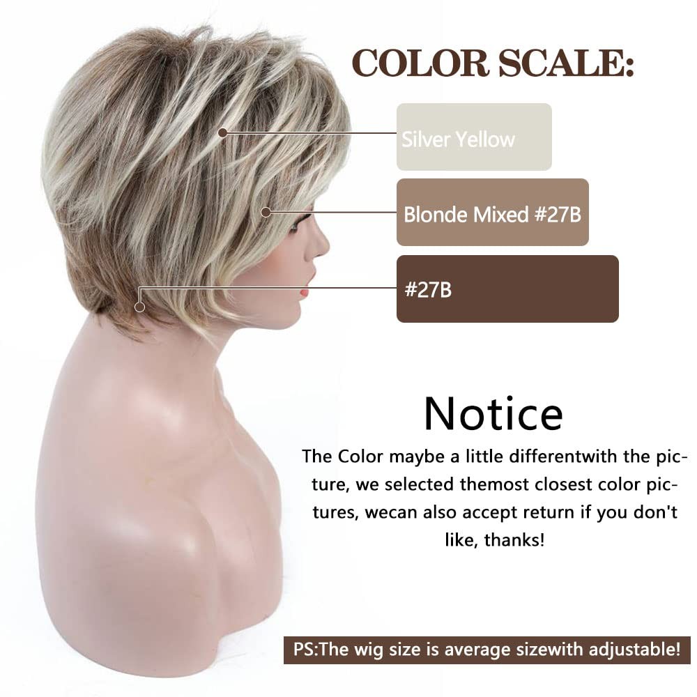 Rosa Star Short Wig Ombre Brown Mixed 1 Count (Pack of 1), Blonde